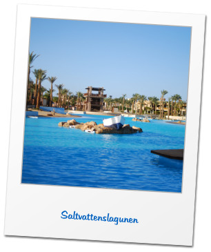 Saltvattenslagunen