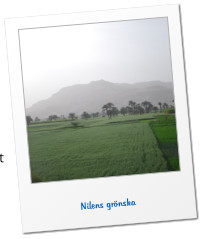 Nilens gr�nska