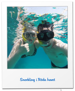 Snorkling i R�da havet